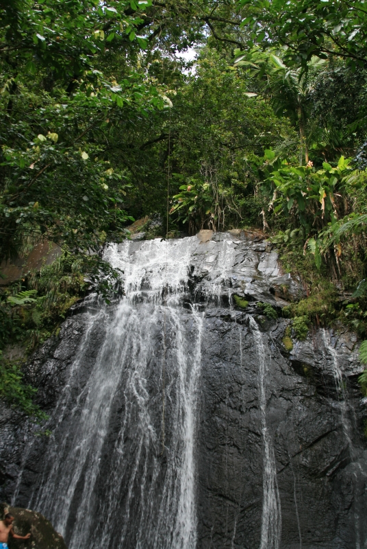 Puerto Rico El Yunque Rain Forest